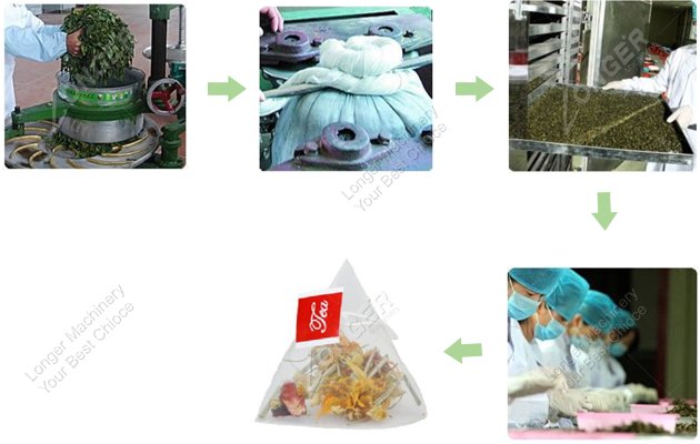 Tea Manufacturing Process