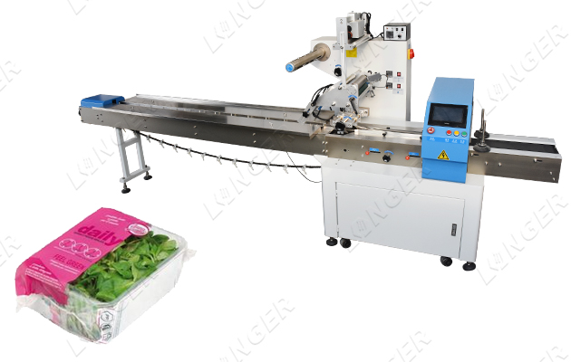 automatic fruit packing machine